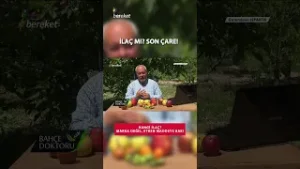 İç Kurduyla Mücadelede Doğru Zaman, Doğru İlaç! #shorts