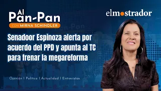 Senator Espinoza sounds alarm over PPD deal and points to Constitutional Court to halt mega-reform