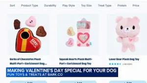 Making Valentine's Day special for your dog with fun toys and treats