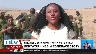Kenya records nearly 9 Percent growth in rhino population