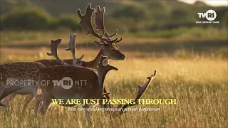 Let's Protect What Matters