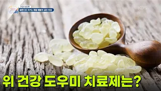 [건강 아지트] 위 건강 도우미 치료제는? [생방송 굿모닝 대한민국] | KBS 260930 방송