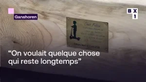 Un chêne, un banc et une plaque dans le parc Élisabeth en mémoire du jeune Fabian