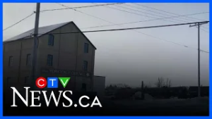 Yorkton flour mill nears reopening thanks to provincial funding