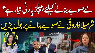 Is PPP Ready to Support New Provinces in Pakistan? | Mohsin Naqvi | Question Hour | Hum News