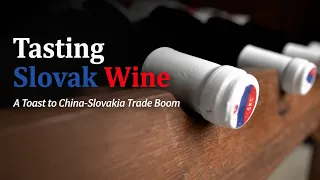 Tasting Slovak wine, a toast to China-Slovakia trade boom