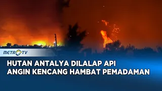 Kebakaran Hutan Melanda Antalya Turki 275 Personel Dikerahkan
