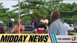 Stray Aminals Pose Growling Challenges For Farmers | Midday News