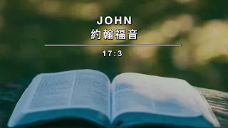 Chino Valley   The Most Beautiful Encounter   Andy Zhang 20260523