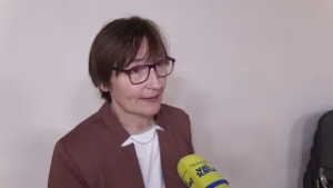 Angleščina v slovenščini: med bogatenjem in pretiranim prevzemanjem