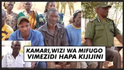 THIEVES AREN'T FROM FAR AWAY, THEY ARE OUR CHILDREN, THEY ARE US :RPC RUVUMA