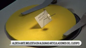 SANTA CRUZ EN EMERGENCIA POR MIL CASOS DE CHIKUNGUNYA