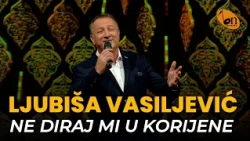Ljubiša Vasiljević - Ne diraj mi u korijene BN Music Etno 2026