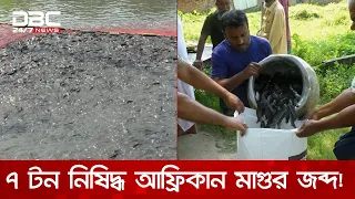 যশোরে ৭ টন নিষিদ্ধ মাগুর জব্দ করে এতিমখানায় বিতরণ | DBC NEWS