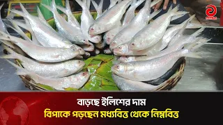 বাড়ছে ইলিশ দাম, কিনতে এসে বিপাকে পড়ছেন মধ্যবিত্ত থেকে নিম্নবিত্ত | Asian Television