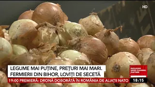 Rising Market Prices. Drought Has Reduced Vegetable Harvests