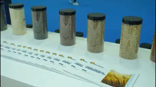 Қытайдың астық нарығына тікелей жол ашылды