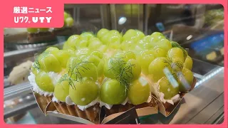 県産のフルーツをふんだんに使ったケーキ店オープン　JR甲府駅に新スポット　ホールケーキなど当日受付も可能　山梨
