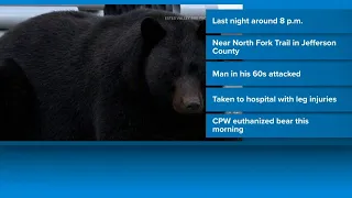 Man attacked by bear in Jefferson County