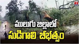 Mulugu Hit By Severe Gusty Winds | Trees Uprooted In Heavy Storm | Telangana Weather | T News