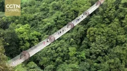 Long-distance and multi-destination travel gains popularity during the holidays