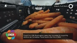 Food For Life Burlington sees big increase in monthly visitors as Canadian food bank use hits 2.35M