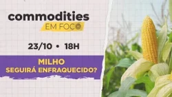 Will corn prices remain weak? | Commodities in Focus
