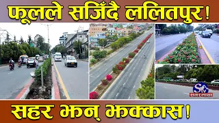 झक्कास’ बन्दै ललितपुर ! सडकमा बाह्रै माहिना रङ्गीबिरङ्गी फूल ! नयाँ योजनाले सहरको मुहार फेरिदै !