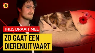 Saying Goodbye to Your Pet: "Because of the dog, I dare to go outside"