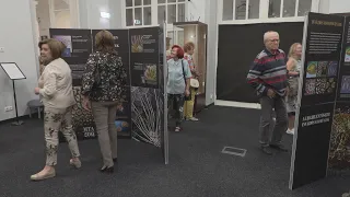 Új időszaki kiállítás a Balatoni Múzeumban