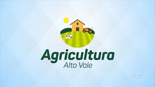 Check out the highlights of the Alto Vale Agriculture program – Edition 22/08/2026