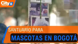 El "Árbol de los Recuerdos": el emotivo santuario para mascotas en el parque Eva Perón | CityTv