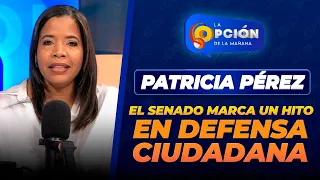 El Senado aprueba proyecto para fortalecer la protección de derechos ciudadanos frente al Estado
