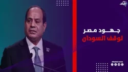 الرئيس السيسي: عملنا على نزع فتيل الأزمة في السودان بين الجيش والدعم السريع قبل التصعيد
