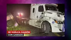 Zacatecas Red Alert Summary