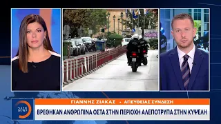 Κυψέλη: Βρέθηκαν ανθρώπινα οστά στην περιοχή Αλεπότρυπα