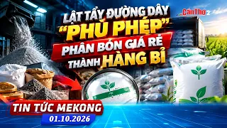 Exposing the ring "magically transforming" cheap fertilizer into Belgian goods | Mekong News 10/0...