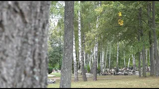 Zmena správy cintorína neukončená