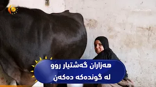بەهۆی هەبوونی زێی بچوک لە بۆگد ساڵانە هەاران گەشتیار روو لە گوندەکە دەکەن