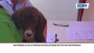 SRV SANT’ARSENIO, AL VIA LA CAMPAGNA DI STERILIZZAZIONE