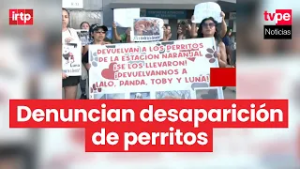 Independencia: denuncian desaparición de perritos en estación Naranjal del Metropolitano