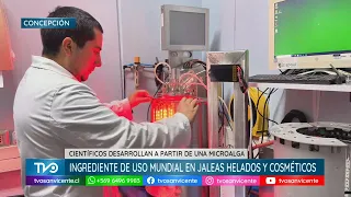 Scientists develop an ingredient from microalgae used worldwide in jellies and ice cream