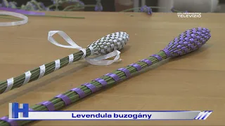 Levendula buzogány – ZTV Híradó 2026-07-10