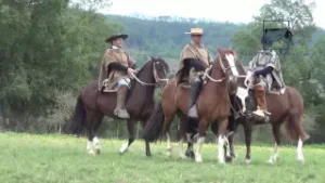criadero altos del achibueno