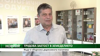 ТРУДОВА ЗАЕТОСТ В ЗЕМЕДЕЛИЕТО: Къде е сбъркана държавната политика