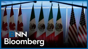 A bumpy CUSMA renewal is likely: Citi