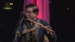 ভবানী শিবানী দশপ্রহরণধারিণী || বিজন মিস্ত্রী