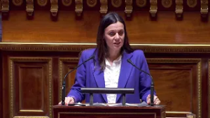 Le Sénat interdit la vente du protoxyde d’azote aux particuliers