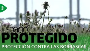 Espacio protegido | La naturaleza como escudo frente a las borrascas
