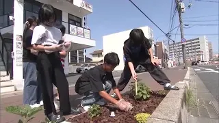 Children in Kurashiki City create an "AI flowerbed" and ask, "Will the leaves not get sunburned e...